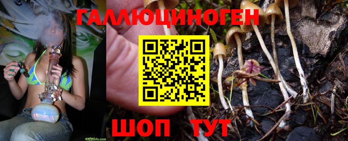 Галлюциногенные грибы мицелий Бахчисарай