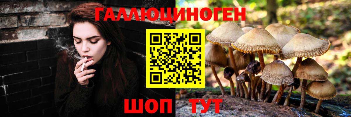 Галлюциногенные грибы Psilocybe  Вход с VPN  Бахчисарай 